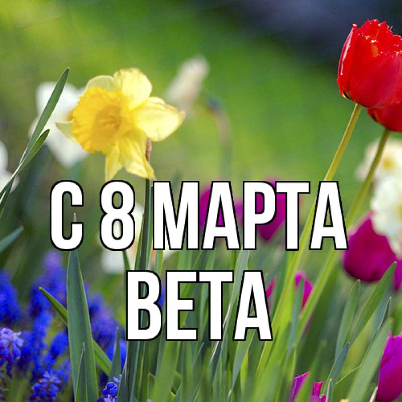 Картинка C 8 МАРТА, Вета