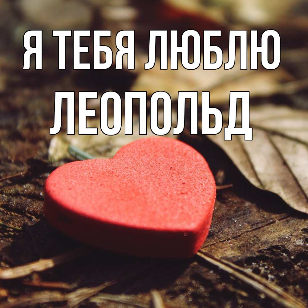 Открытка на каждый день с именем, Леопольд Я тебя люблю листья деревье 4 Прикольная открытка с пожеланием онлайн скачать бесплатно 