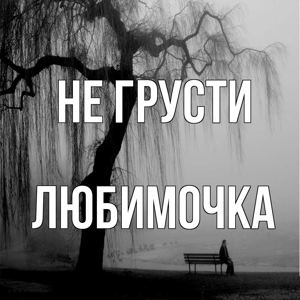 Открытка на каждый день с именем, Любимочка Не грусти висящие ветки дерева и лавочка под деревом Прикольная открытка с пожеланием онлайн скачать бесплатно 