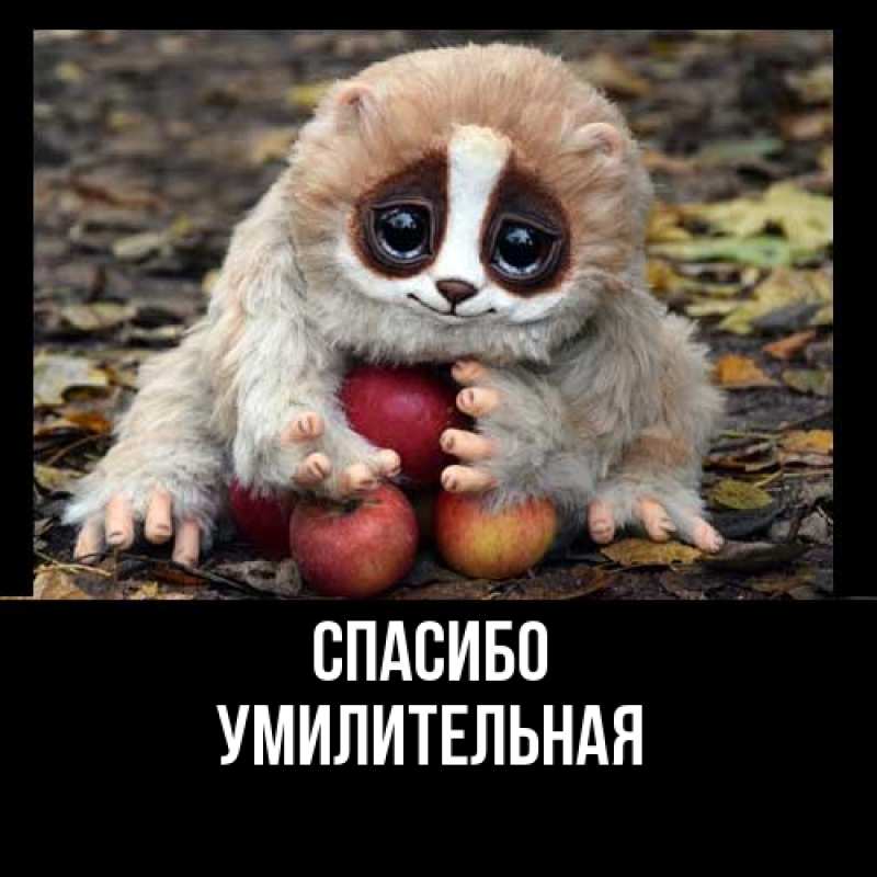 Картинка Спасибо, умилительная