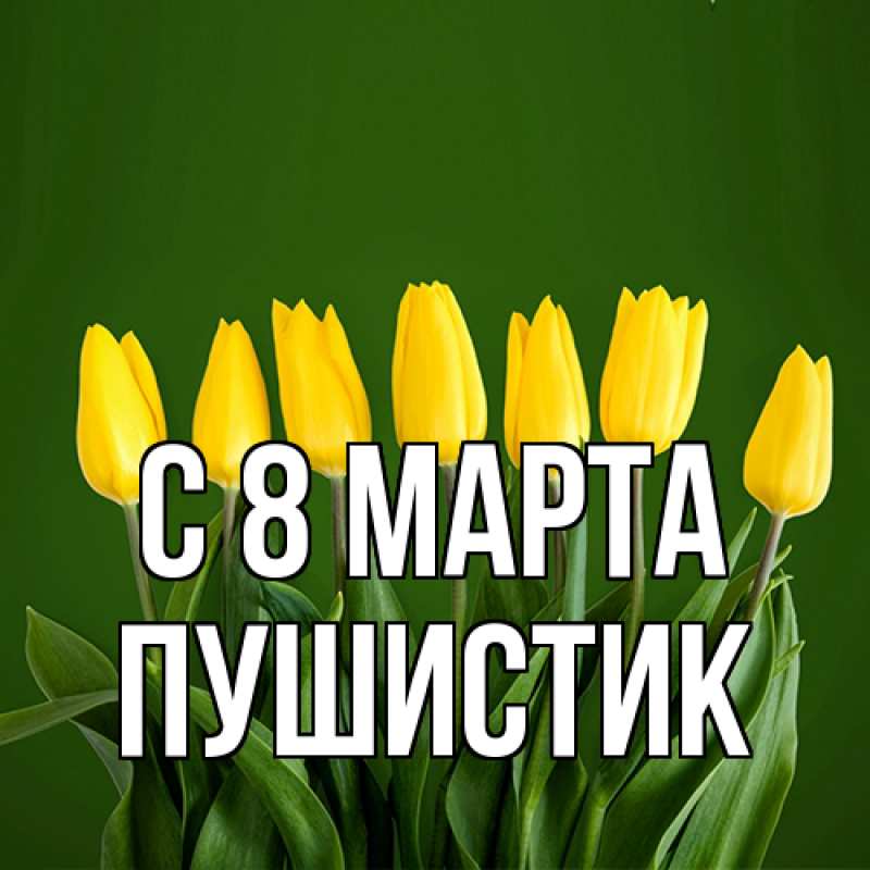 Картинка C 8 МАРТА, Пушистик