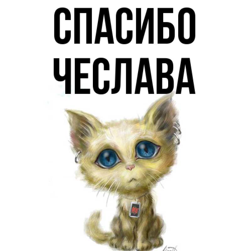 Картинка Спасибо, Чеслава