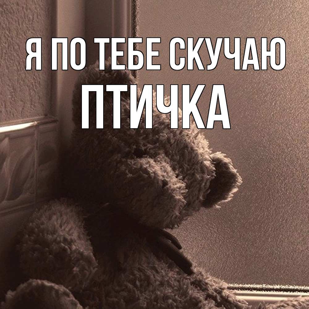 Открытка на каждый день с именем, Птичка Я по тебе скучаю скучаем тут Прикольная открытка с пожеланием онлайн скачать бесплатно 