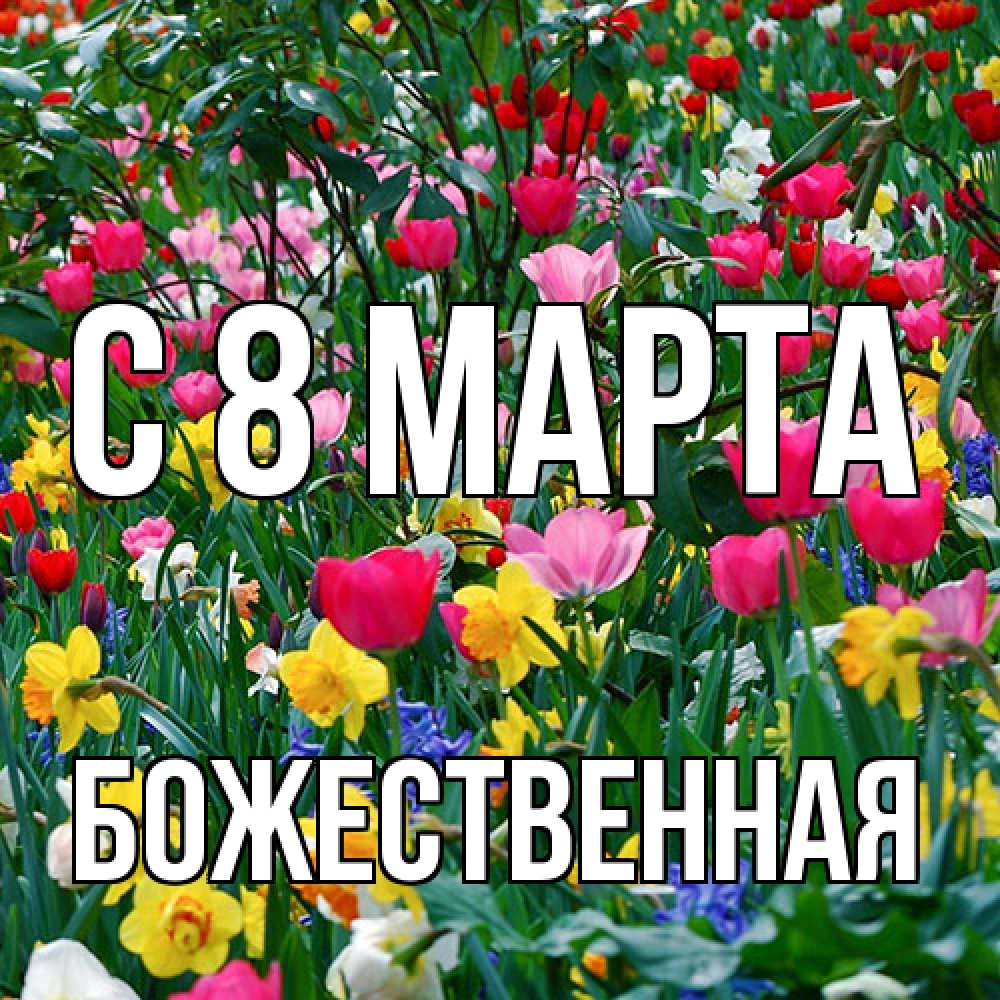 Открытка на каждый день с именем, божественная C 8 МАРТА с международным женским днем поздравления для женщины Прикольная открытка с пожеланием онлайн скачать бесплатно 