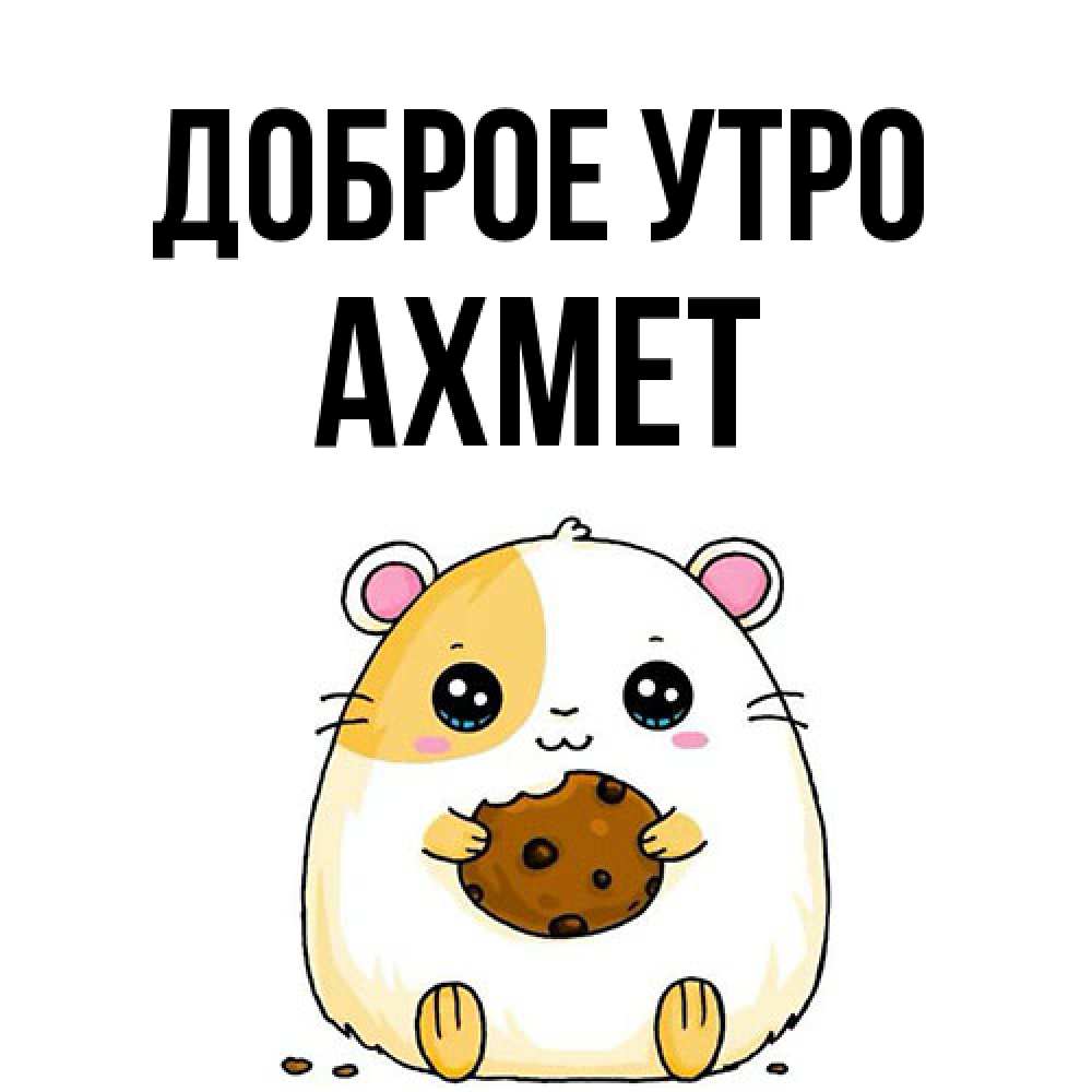 Открытка на каждый день с именем, Ахмет Доброе утро есть печеньку. Утречко Прикольная открытка с пожеланием онлайн скачать бесплатно 