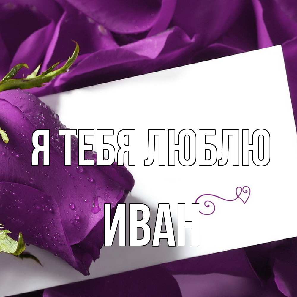 Открытка на каждый день с именем, Иван Я тебя люблю роза Прикольная открытка с пожеланием онлайн скачать бесплатно 