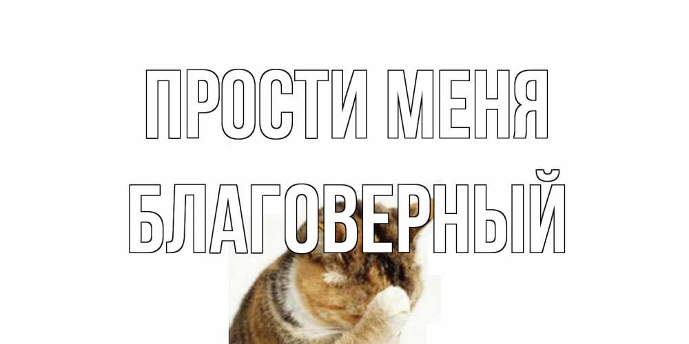 Открытка на каждый день с именем, Благоверный Прости меня кот Прикольная открытка с пожеланием онлайн скачать бесплатно 