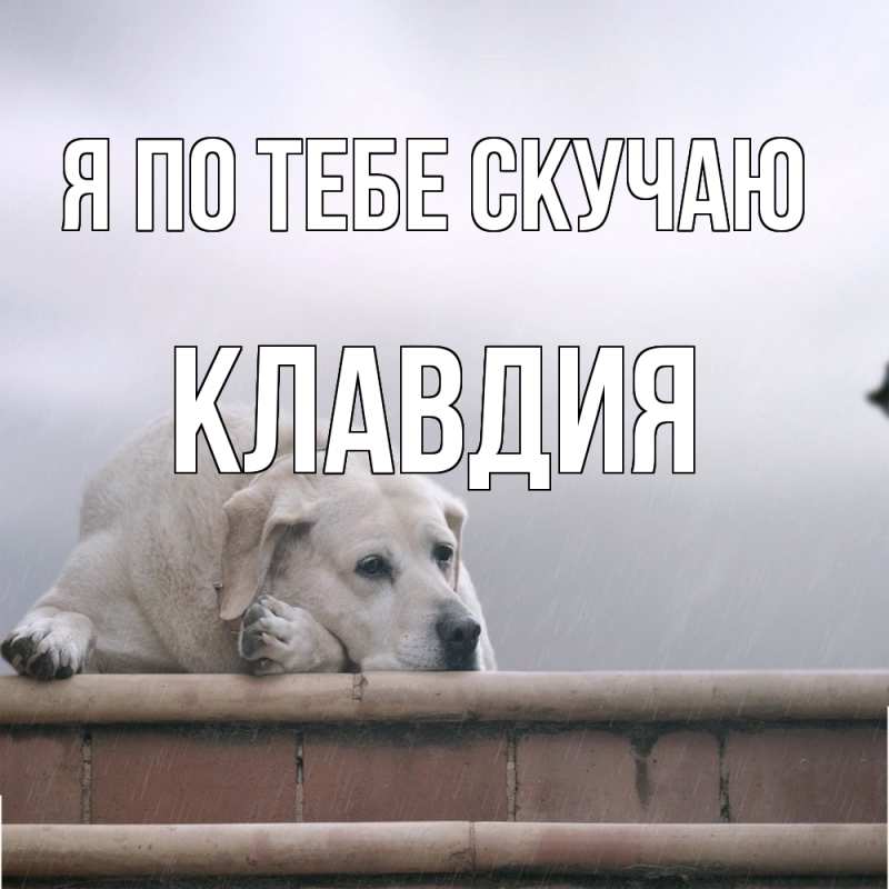 Картинка Я по тебе скучаю, Клавдия