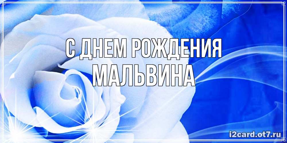 Открытка на каждый день с именем, Мальвина С днем рождения белая роза на голубом фоне Прикольная открытка с пожеланием онлайн скачать бесплатно 