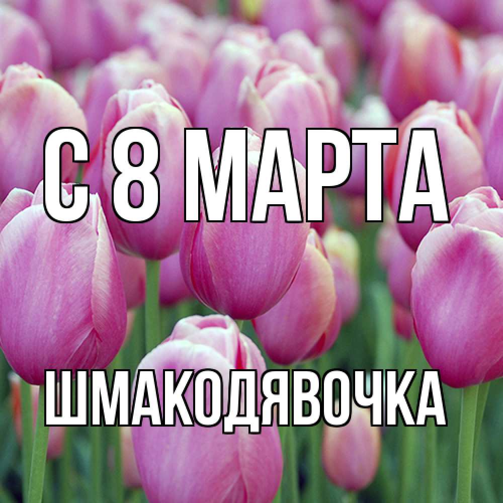 Открытка на каждый день с именем, шмакодявочка C 8 МАРТА на международный женский день 3 Прикольная открытка с пожеланием онлайн скачать бесплатно 