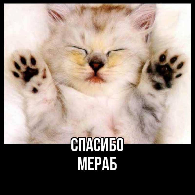 Картинка Спасибо, Мераб
