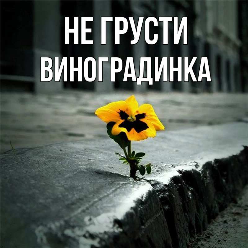 Картинка Не грусти, виноградинка