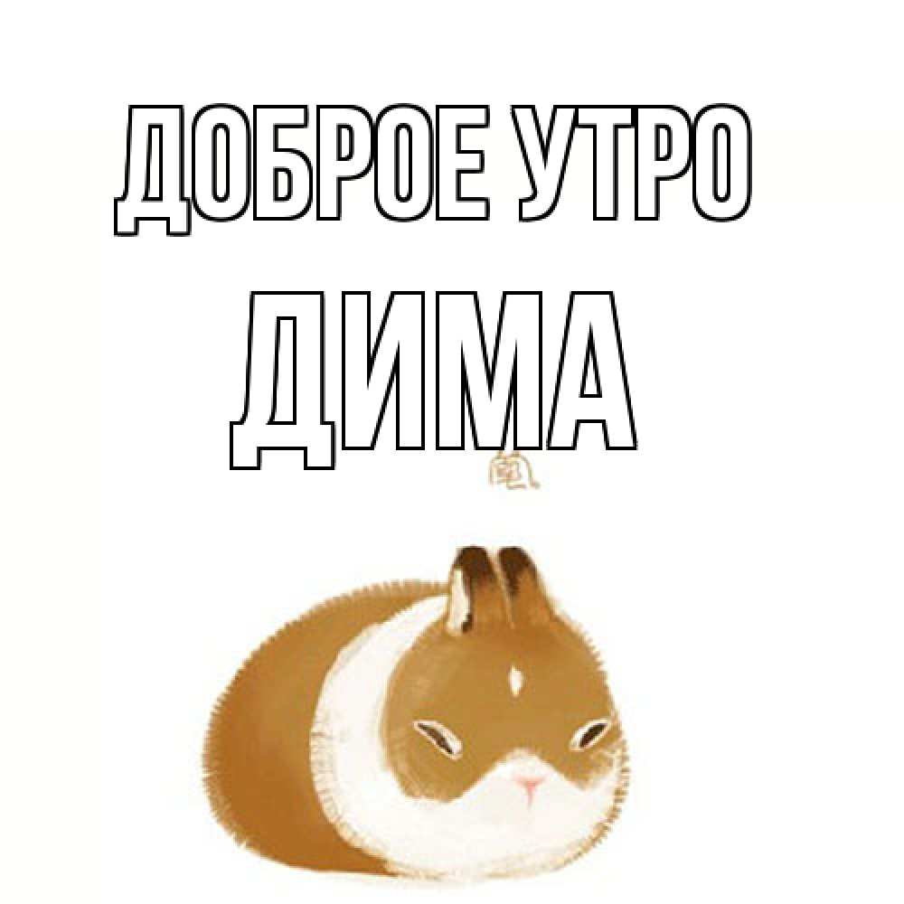Открытка на каждый день с именем, Дима Доброе утро хорошего утречка Прикольная открытка с пожеланием онлайн скачать бесплатно 