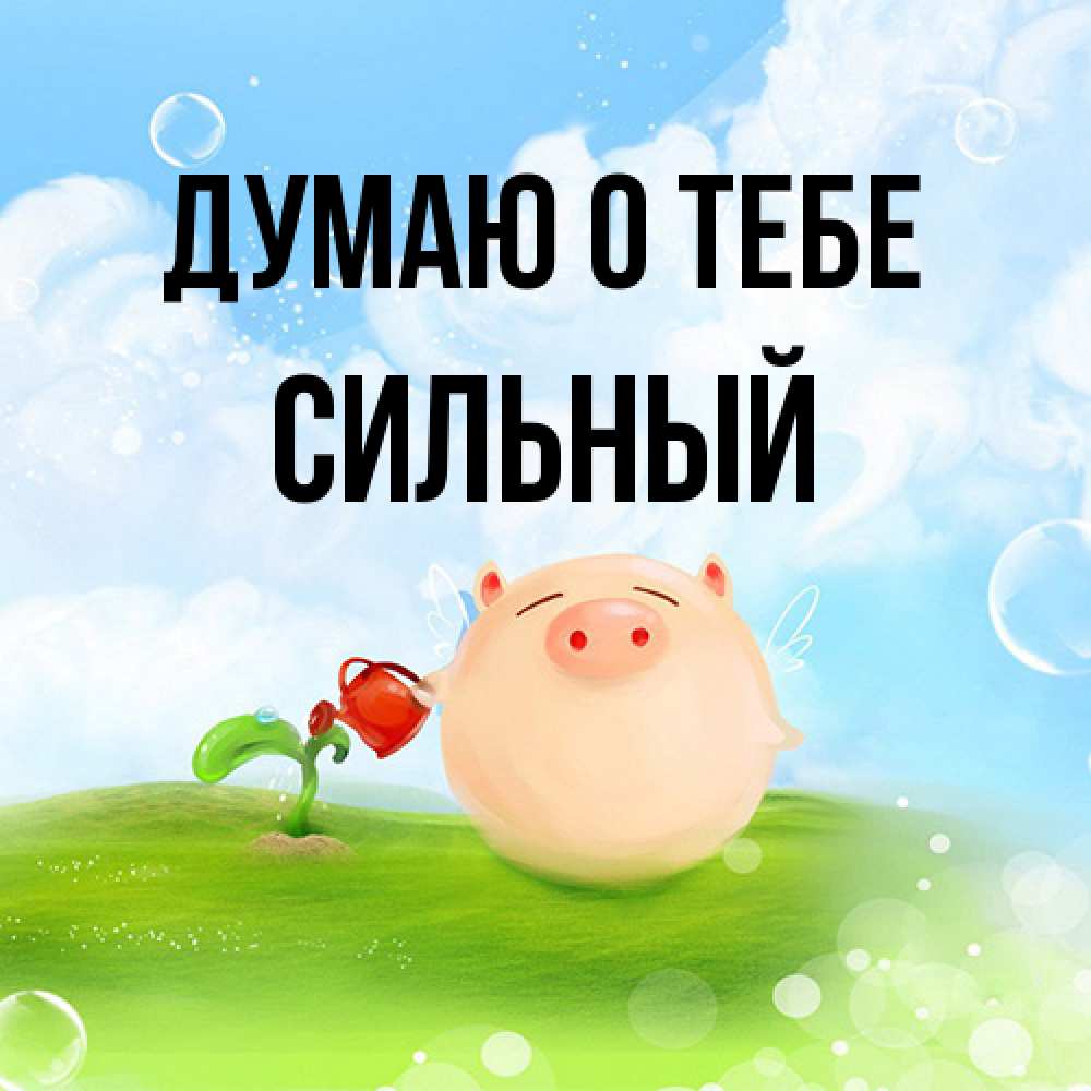 Открытка на каждый день с именем, Сильный Думаю о тебе позитивная свинюшка Прикольная открытка с пожеланием онлайн скачать бесплатно 