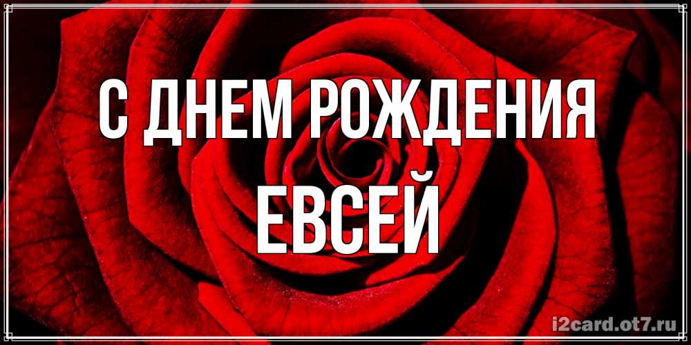 Открытка на каждый день с именем, Евсей С днем рождения алая роза Прикольная открытка с пожеланием онлайн скачать бесплатно 