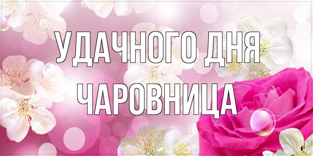 Открытка на каждый день с именем, Чаpовница Удачного дня красивые цветы Прикольная открытка с пожеланием онлайн скачать бесплатно 