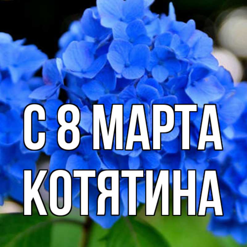 Картинка C 8 МАРТА, Котятина