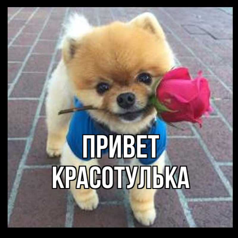 Картинка Привет, красотулька