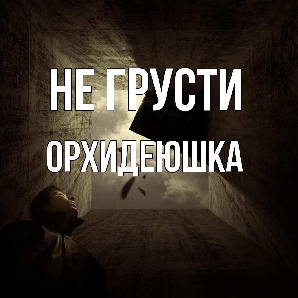 Открытка на каждый день с именем, Орхидеюшка Не грусти жуть Прикольная открытка с пожеланием онлайн скачать бесплатно 