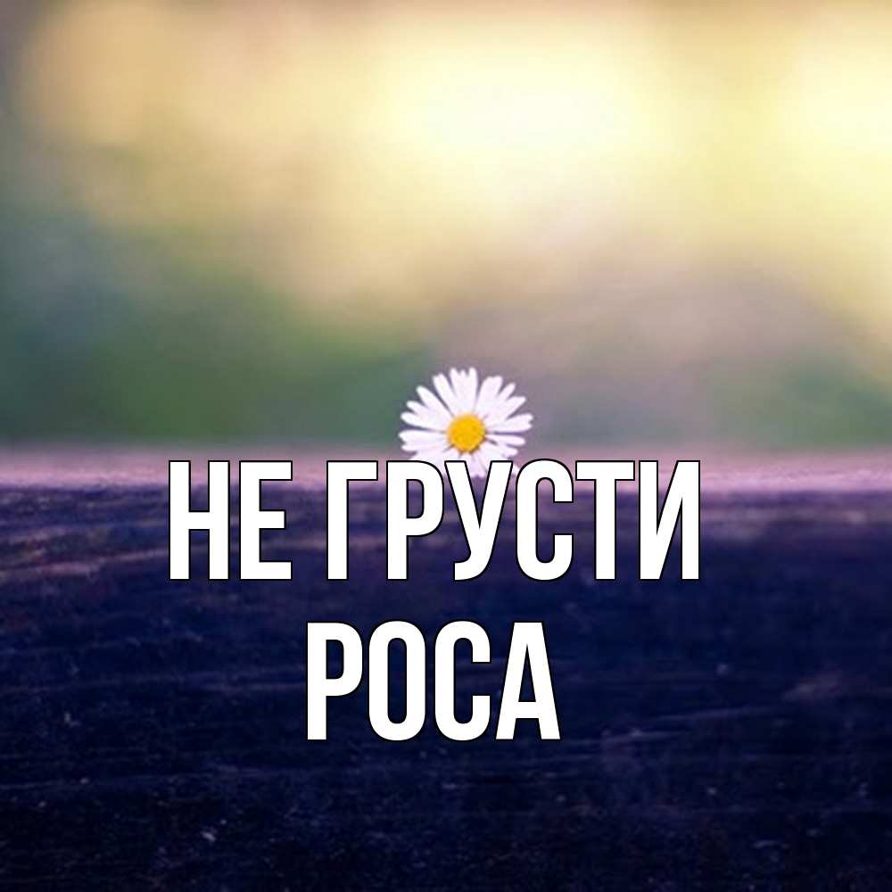 Открытка на каждый день с именем, Роса Не грусти красота Прикольная открытка с пожеланием онлайн скачать бесплатно 