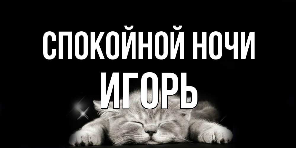 Открытка на каждый день с именем, Игорь Спокойной ночи спящий котик Прикольная открытка с пожеланием онлайн скачать бесплатно 