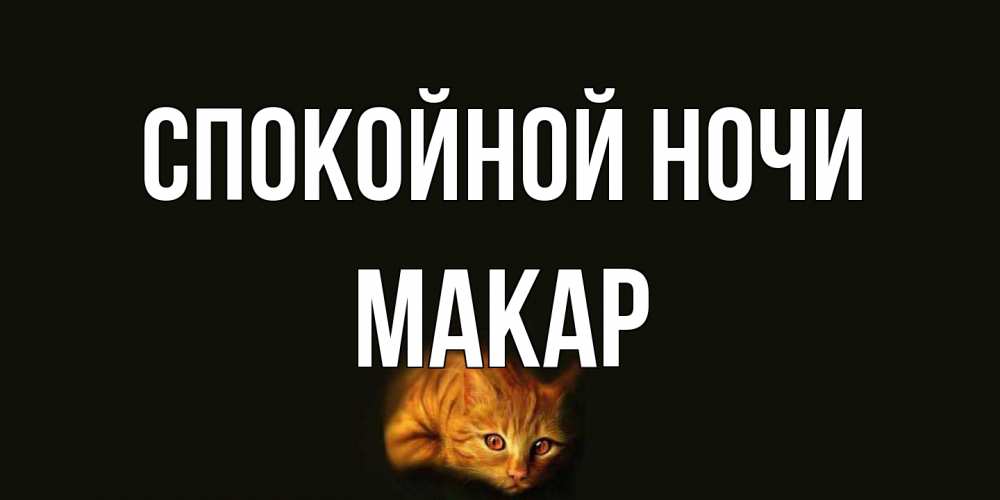 Открытка на каждый день с именем, Макар Спокойной ночи кот Прикольная открытка с пожеланием онлайн скачать бесплатно 