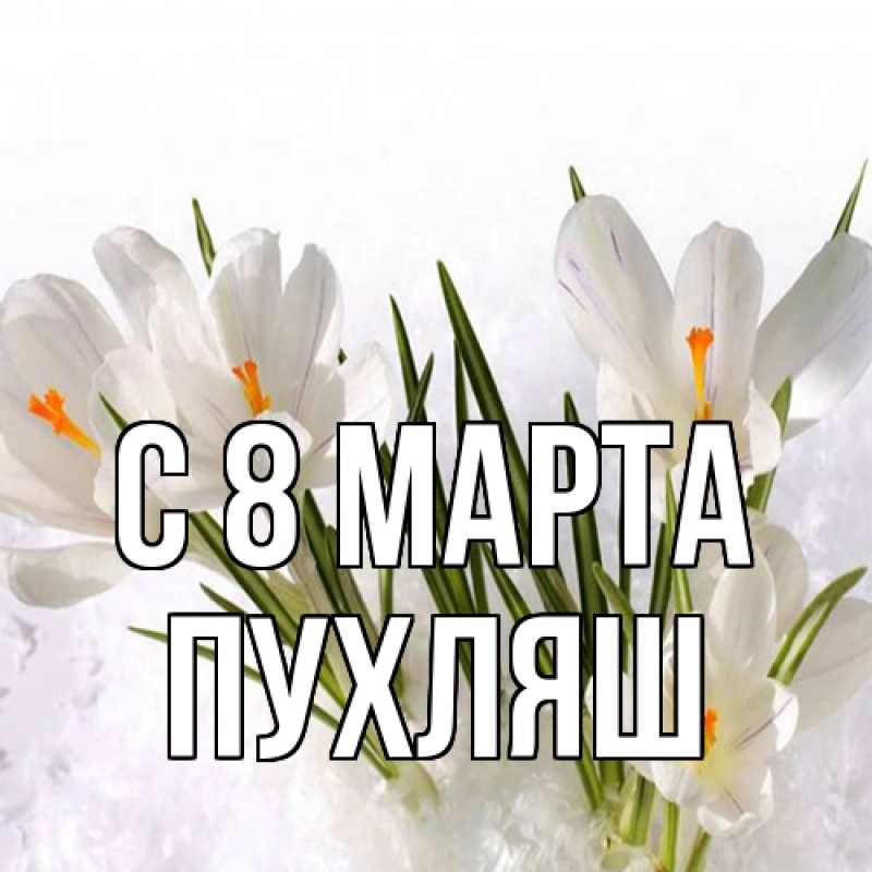 Картинка C 8 МАРТА, пухляш