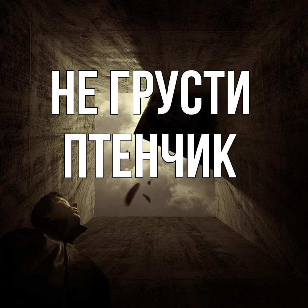 Открытка на каждый день с именем, Птенчик Не грусти жуть Прикольная открытка с пожеланием онлайн скачать бесплатно 