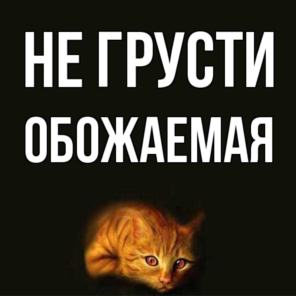 Открытка на каждый день с именем, обожаемая Не грусти лежащий кот в темноте Прикольная открытка с пожеланием онлайн скачать бесплатно 