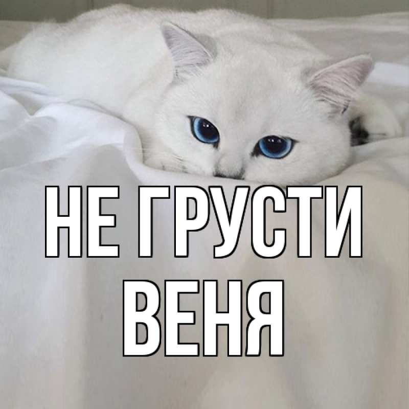 Картинка Не грусти, Веня