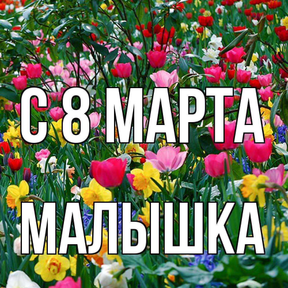 Открытка на каждый день с именем, малышка C 8 МАРТА с международным женским днем поздравления для женщины Прикольная открытка с пожеланием онлайн скачать бесплатно 