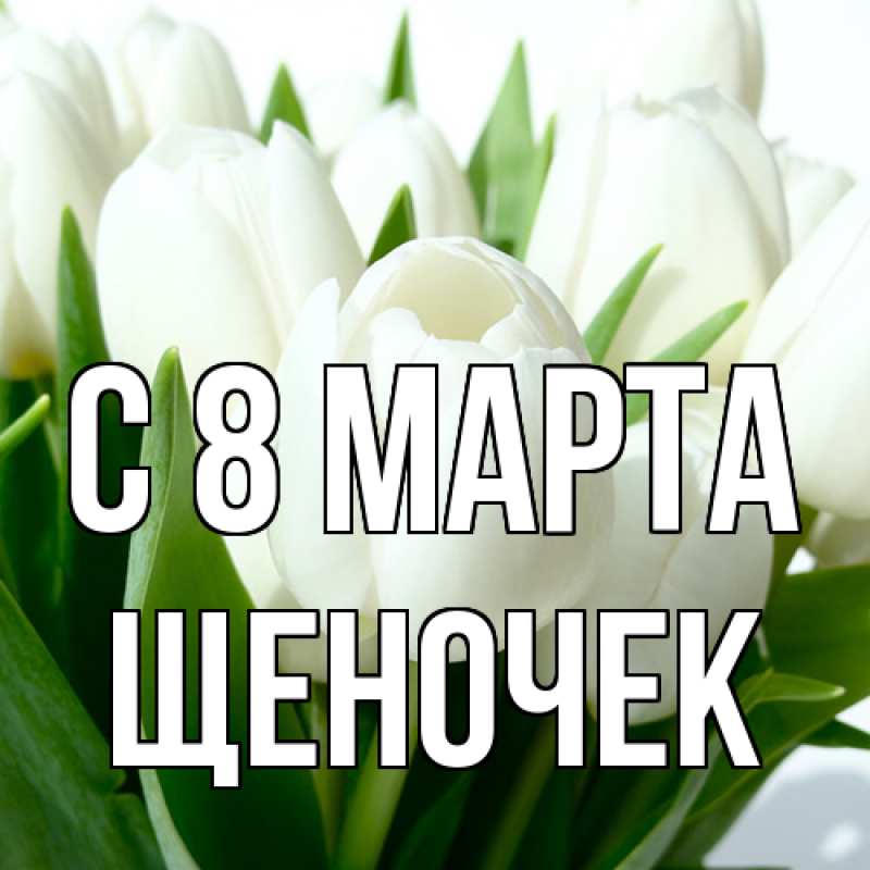 Картинка C 8 МАРТА, Щеночек