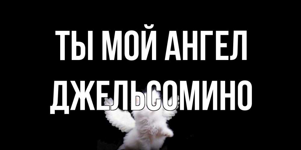 Открытка на каждый день с именем, Джельсомино Ты мой ангел Кот ангел Прикольная открытка с пожеланием онлайн скачать бесплатно 