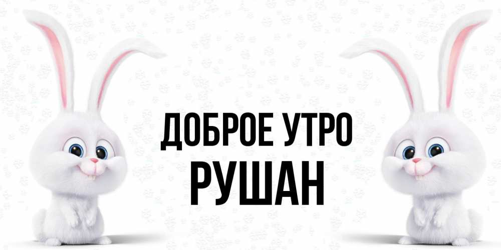 Открытка на каждый день с именем, Рушан Доброе утро кролики с длинными ушками Прикольная открытка с пожеланием онлайн скачать бесплатно 
