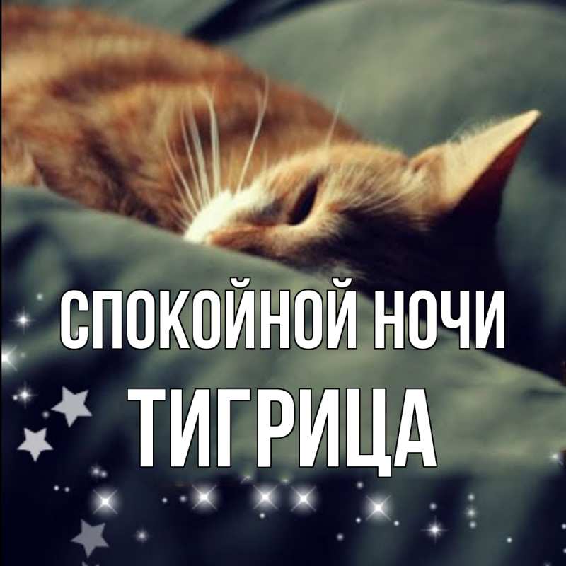 Картинка Спокойной ночи, Тигрица