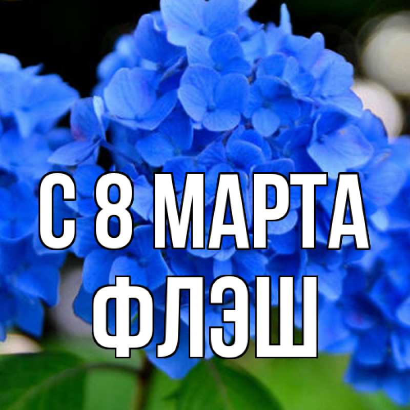 Картинка C 8 МАРТА, Флэш