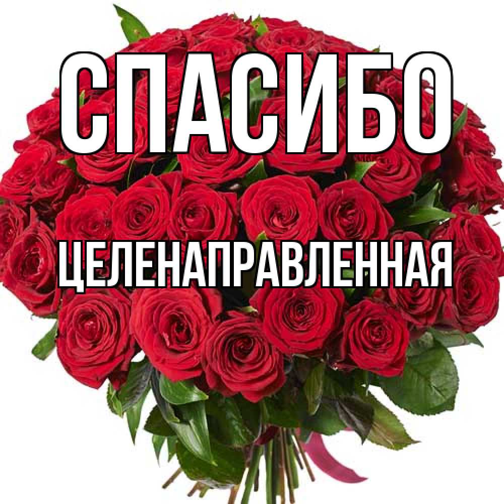 Открытка на каждый день с именем, целенаправленная Спасибо букет красных роз Прикольная открытка с пожеланием онлайн скачать бесплатно 