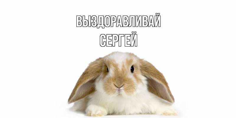 Картинка Выздоравливай, Сергей