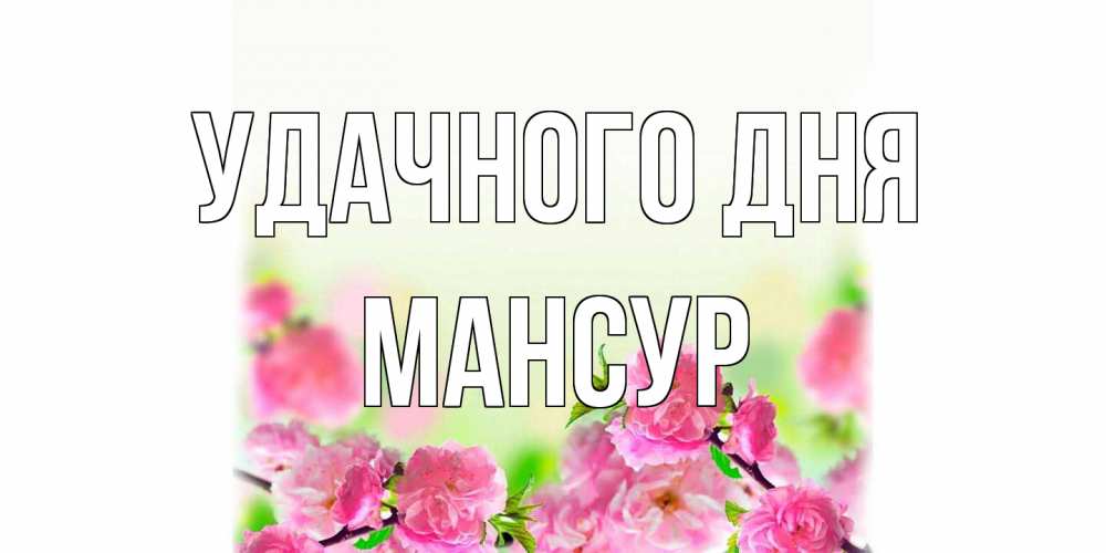 Открытка на каждый день с именем, Мансур Удачного дня цветы Прикольная открытка с пожеланием онлайн скачать бесплатно 