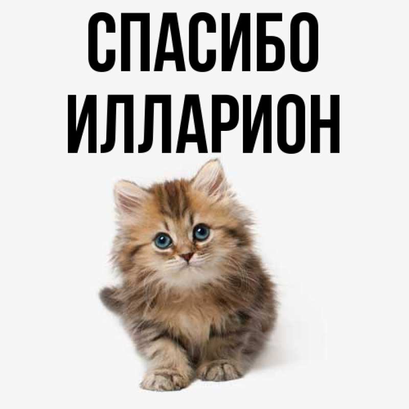 Картинка Спасибо, Илларион