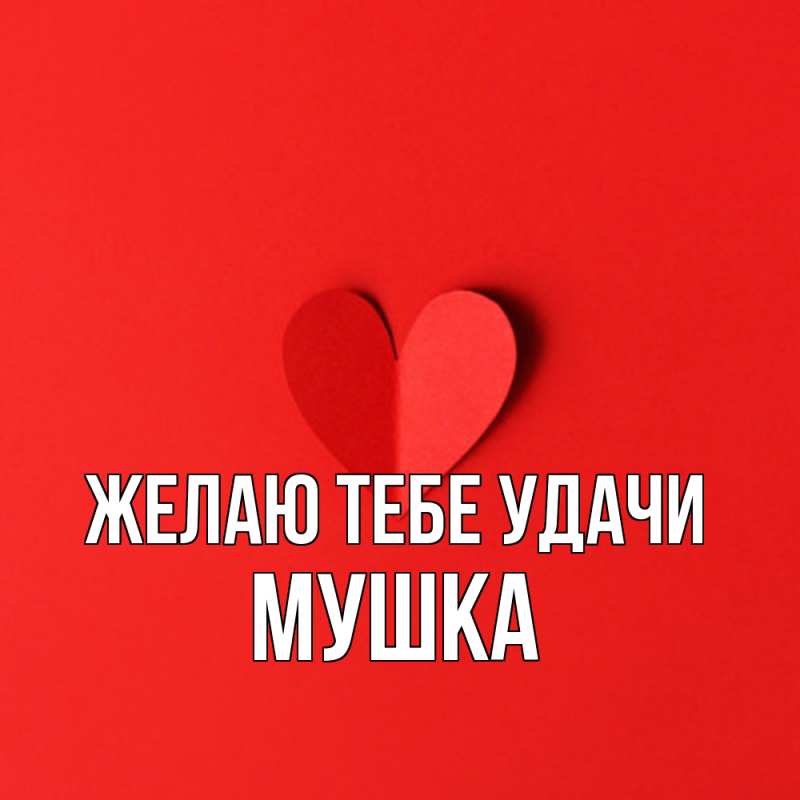 Картинка Желаю тебе удачи, мушка