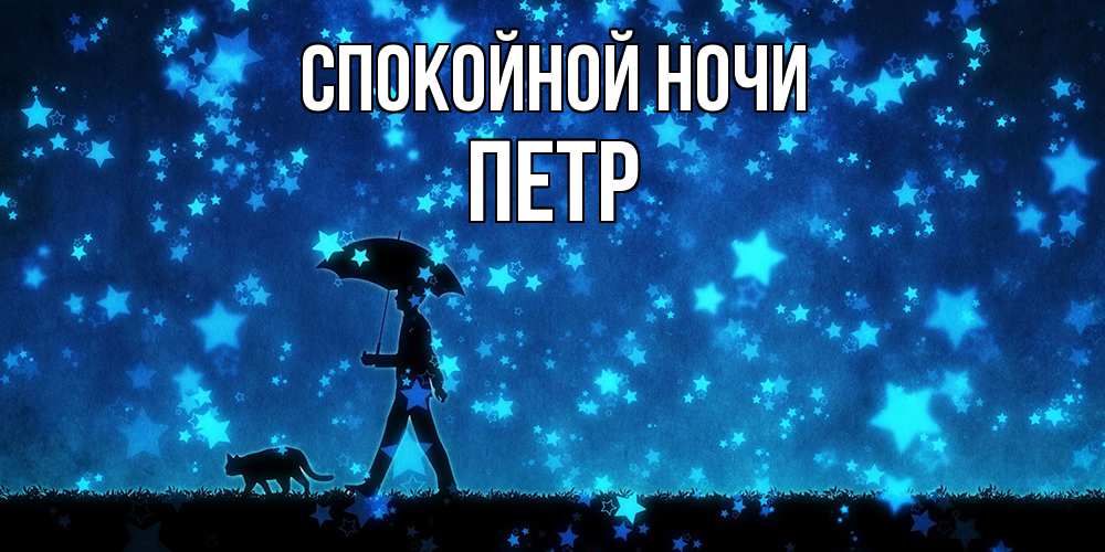 Открытка на каждый день с именем, Петр Спокойной ночи ночные прогулки с котом под звездами Прикольная открытка с пожеланием онлайн скачать бесплатно 
