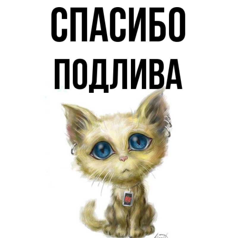 Картинка Спасибо, Подлива