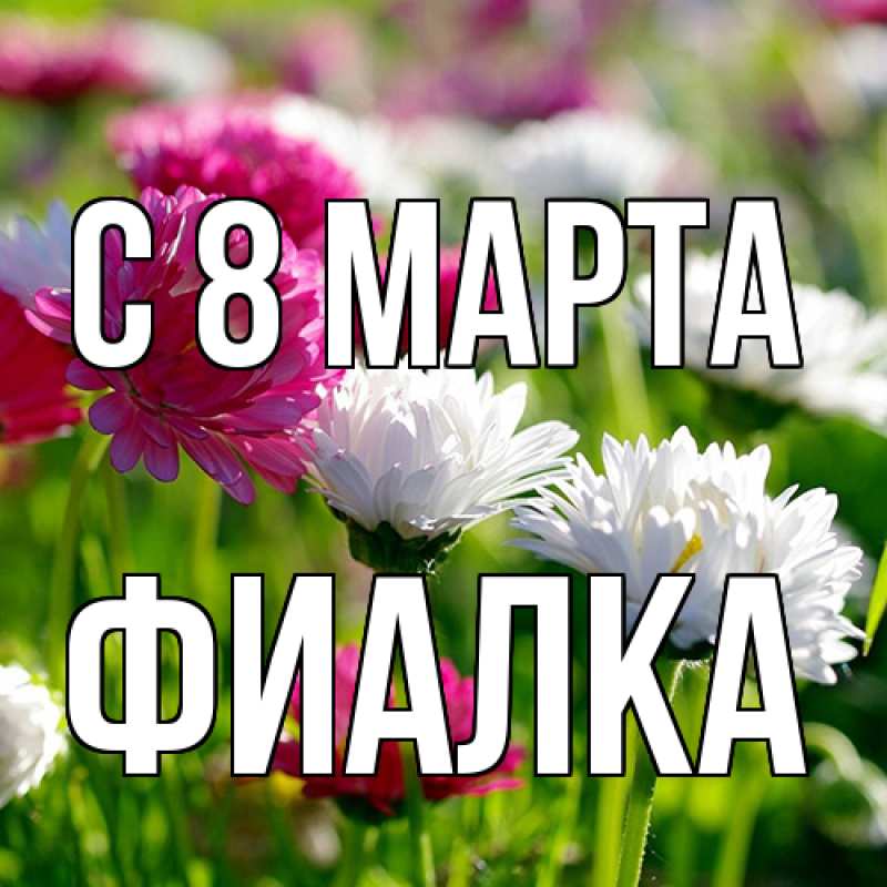 Картинка C 8 МАРТА, Фиалка