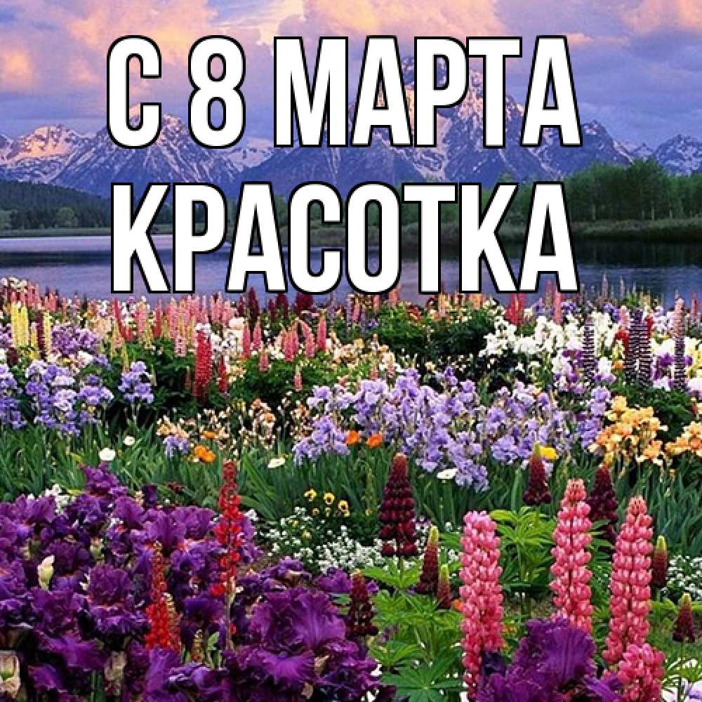 Открытка на каждый день с именем, Красотка C 8 МАРТА международный женский день Прикольная открытка с пожеланием онлайн скачать бесплатно 
