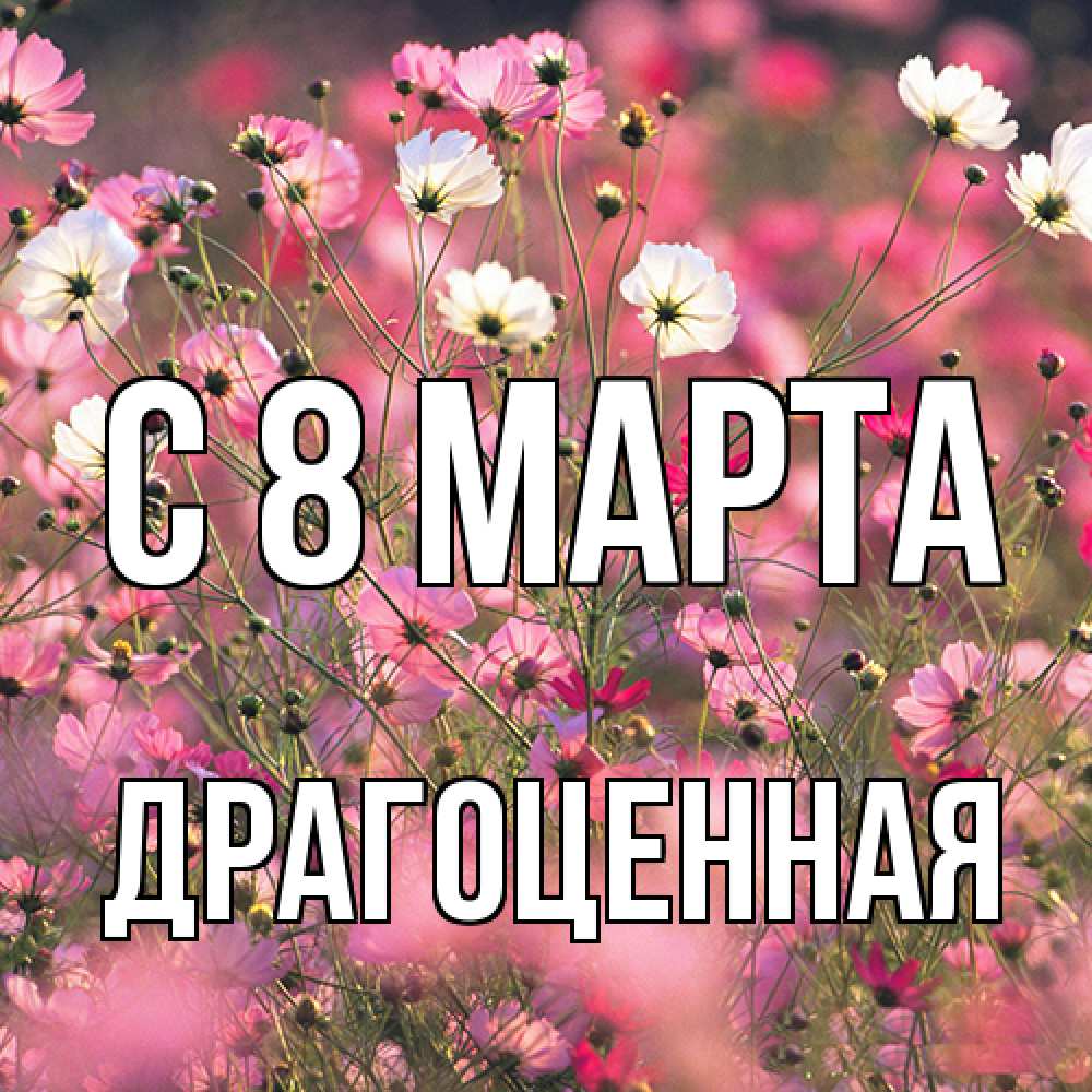 Открытка на каждый день с именем, Драгоценная C 8 МАРТА красиво 1 Прикольная открытка с пожеланием онлайн скачать бесплатно 