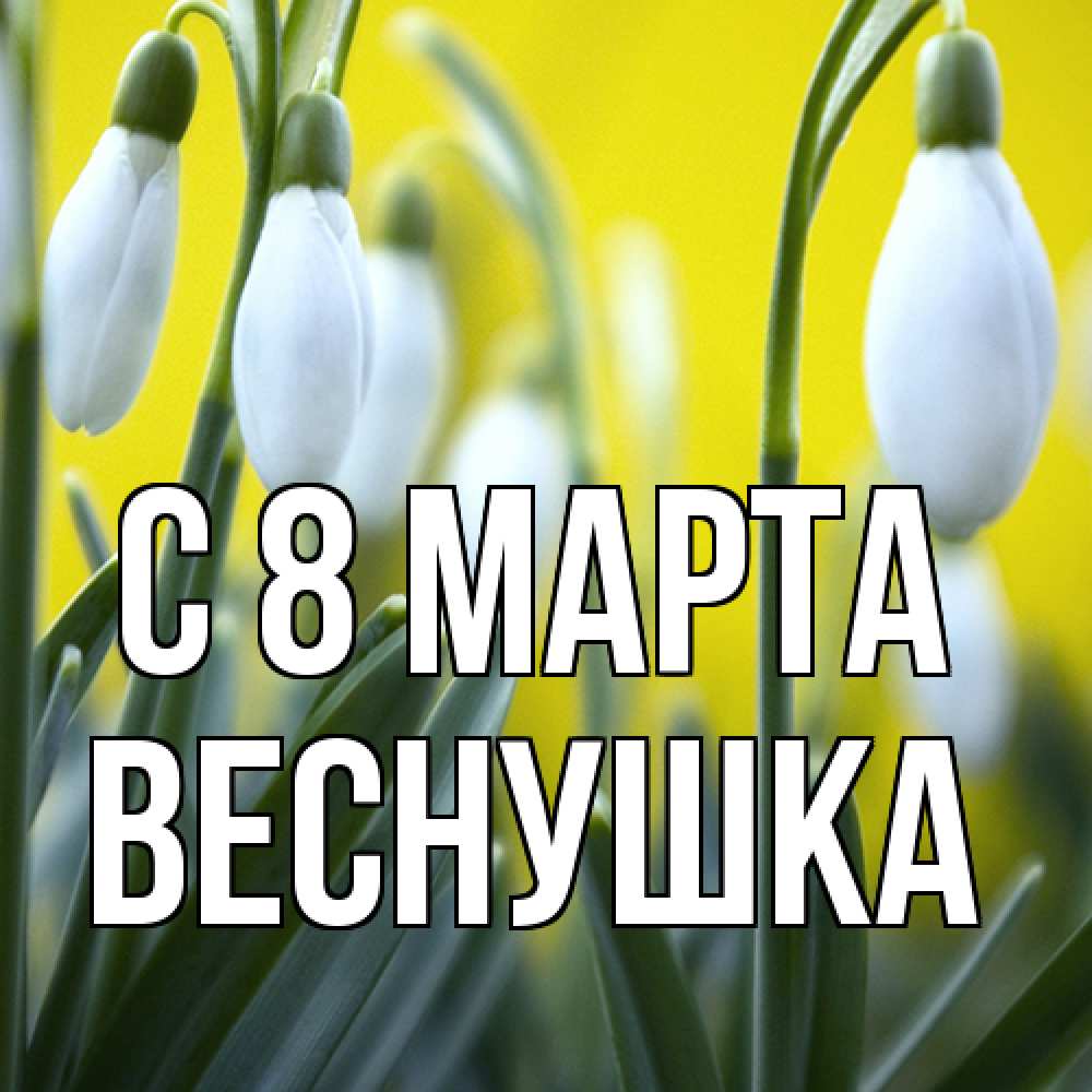 Открытка на каждый день с именем, веснушка C 8 МАРТА весенние цветы Прикольная открытка с пожеланием онлайн скачать бесплатно 