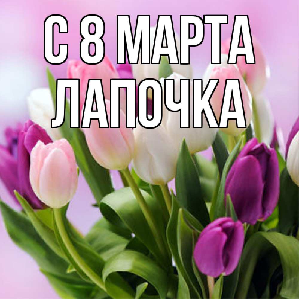 Открытка на каждый день с именем, лапочка C 8 МАРТА весна март Прикольная открытка с пожеланием онлайн скачать бесплатно 