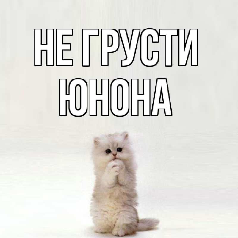 Картинка Не грусти, Юнона