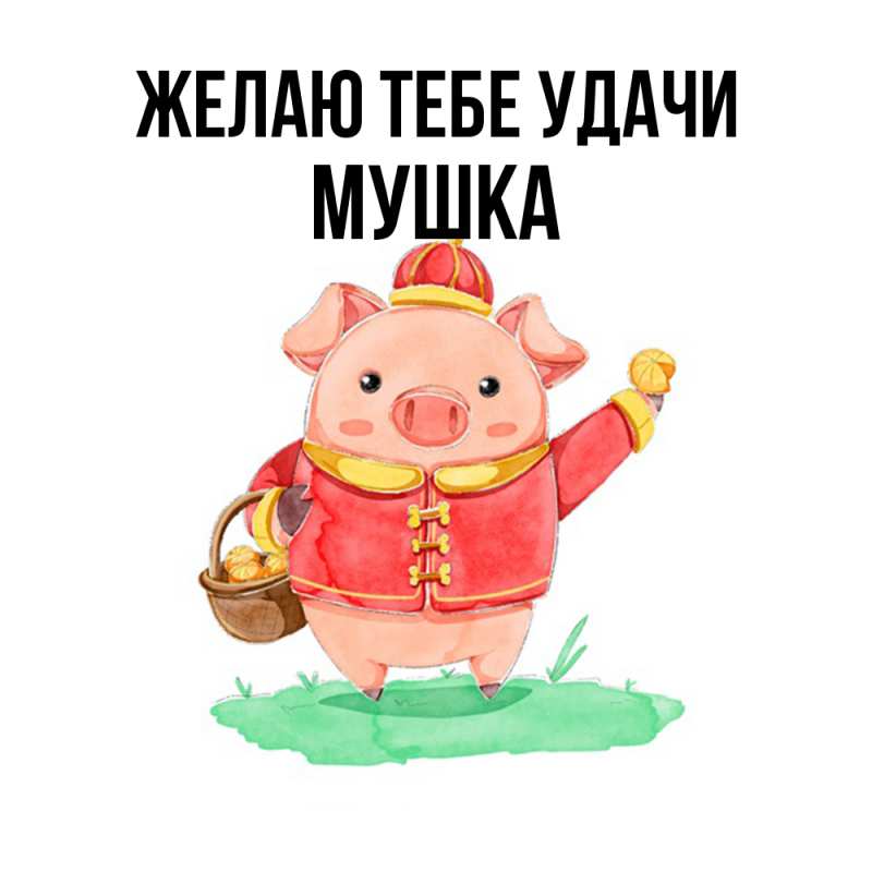Картинка Желаю тебе удачи, мушка